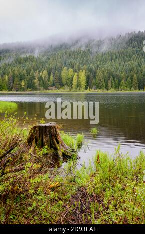 Mount Hood Stockfoto