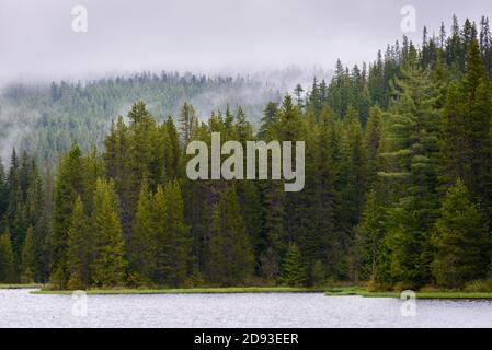 Mount Hood Stockfoto