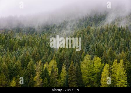 Mount Hood Stockfoto