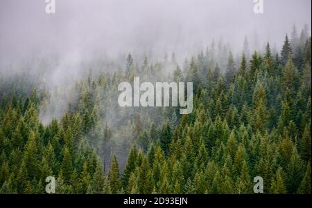 Mount Hood Stockfoto