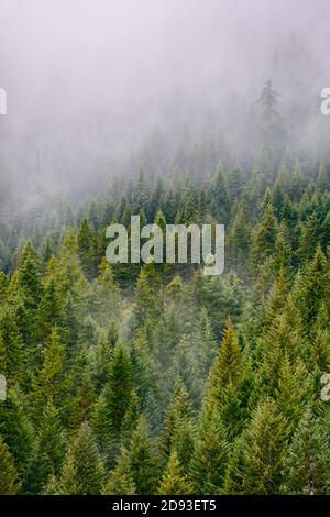 Mount Hood Stockfoto