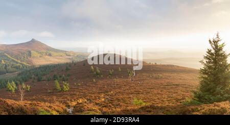 Panoramablick vom Gipfel des Millstone Hill in Richtung Mither Tap on the Bennachie Range of Hills an einem sonnigen Morgen in Aberdeenshire, Schottland Stockfoto