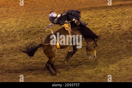 Bareback Riding in Omak Stampede, Washington State, USA Stockfoto