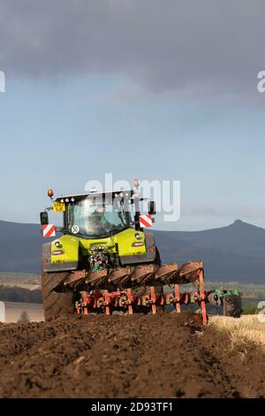 Ein Reversible Pflug und Claas Traktor bei der Arbeit auf Ackerland In der schottischen Landschaft Stockfoto