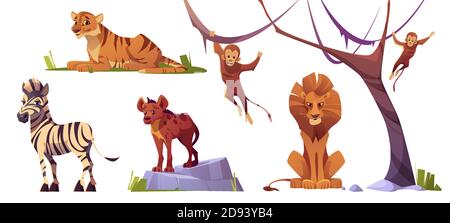 Cartoon wilde Tiere Tiger, Affen, Hyäne, Zebra und Löwe mit Affen. Dschungelbewohner Raubtiere und pflanzenfressende im Zoo Park oder Safari im Außenbereich. Bestien in der Fauna, isolierte Vektor-Illustrationen Set Stock Vektor