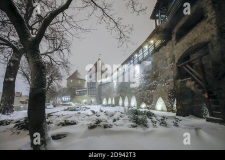 Der Maiden Tower und der Dänische Königgarten nebenan Das alte Tallinner Stadtmuseum Stockfoto