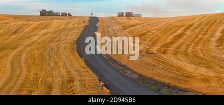 Straße durch Weizenfeld bei Sonnenaufgang, Palouse, Washington State, USA Stockfoto