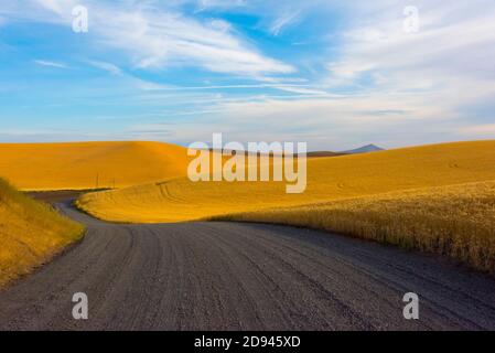 Landstraße durch rollendes Weizenfeld bei Sonnenaufgang, Palouse, Washington State, USA Stockfoto