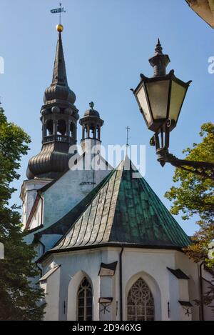 St. Mary's Cathedral in der Altstadt, Tallinn, Estland Stockfoto