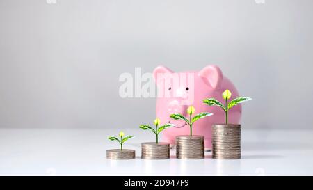 Das Münzdiagramm zeigt das finanzielle Wachstum und wachsende Bäume auf Münzstapeln, einschließlich Sparschwein, Ideen zur Geldeinsparung und finanzielles Wachstum. Stockfoto