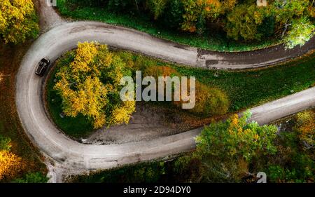 Zickzackstraße, eingerahmt von orangefarbenem Herbstwald. Serpentine erklimmt die Vogesen im Elsass. Die Geometrie der Straßenschleife sieht von oben erstaunlich aus. Stockfoto