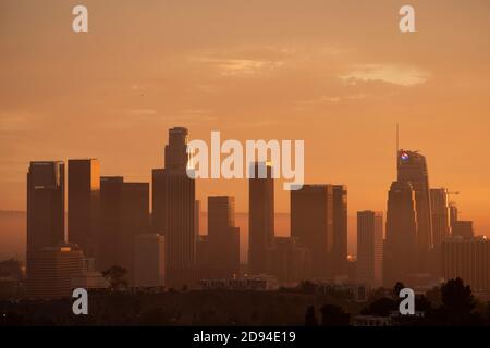 Goldenes Licht über der Skyline von Los Angeles bei Sonnenuntergang Vom Elysian Park aus gesehen Stockfoto