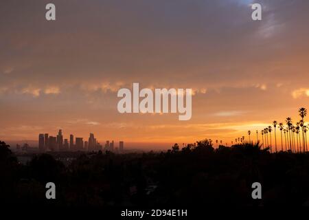 Spektakulärer Sonnenuntergang über der Skyline und Palmen von Los Angeles Bäume aus dem Elysian Park Stockfoto