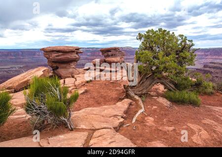 Dead Horse Point State Park, Utah - USA Stockfoto