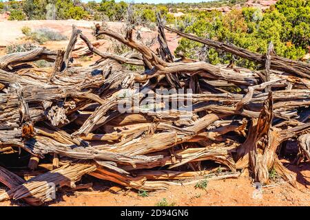 Dead Horse Point State Park, Utah - USA Stockfoto