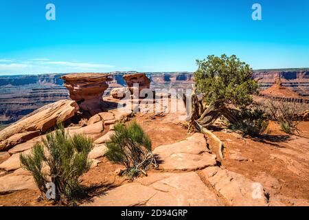 Dead Horse Point State Park, Utah - USA Stockfoto