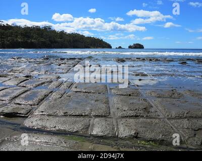 Gezäuntes Pflaster, Eaglehawk Neck, in Tasmanien, Australien. Stockfoto