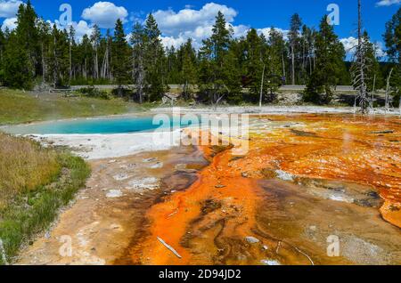 Wunderschöne Aussicht auf den Lederpool in der Fountain Paint Pot Gegend von Yellowstone, Nationalpark Stockfoto