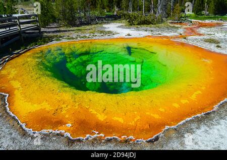 Morning Glory Pool im Yellowstone National Park in Wyoming, USA Stockfoto