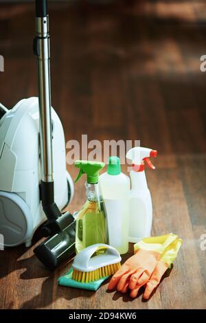 Staubsauger, Reinigungsflaschen, Gummihandschuhe, Bürste und Reinigungstuch auf dem Boden. Stockfoto