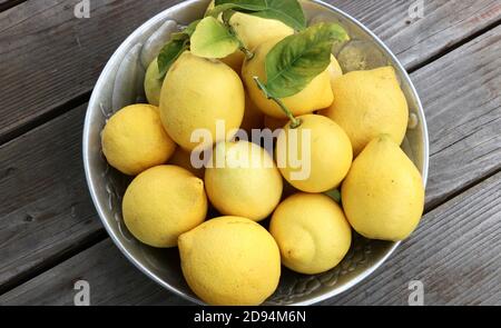Silberne Schale mit schönen, leuchtend gelben Zitronen, in Kalifornien selbst gezüchten. Stockfoto