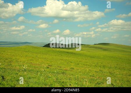 Hügel in der Steppe, deren Hänge mit seltenen Nadelbäumen unter einem bewölkten Himmel bedeckt sind. Chakassien, Südsibirien, Russland. Stockfoto