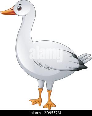Vektor-Illustration von Niedlichen weißen Gans Cartoon Stock Vektor