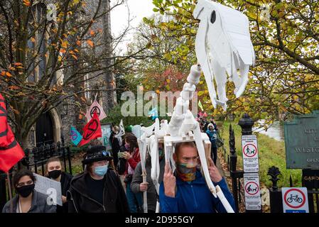 Canterbury, Großbritannien. Oktober 2020. Extinction Rebellion Prozession geführt von den Roten Rebellen über Westgate Towers durch das Zentrum von Canterbury entlang der Fußgängerzone High Street. Ein neues Tag der Toten Spektakel in der Stadt mit Musik, Skeletttieren, und die Trauer und Trost der Roten Rebellen. XR sagt, es besteht die Notwendigkeit, die Regierung und die Institutionen aufzufordern, die Wahrheit über die Klima- und ökologischen Krisen zu sagen, in denen wir uns befinden, und jetzt zu handeln und hinter die CEE-Rechnung zu kommen. Veranstaltet von Extinction Rebellion Canterbury und Extinction Rebellion Southeast UK. Quelle: Stephen Bell/Alamy Stockfoto