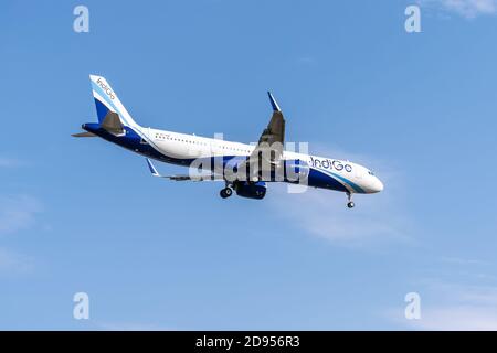 Boryspil, Ukraine - 25. September 2020: Indigo Airbus A321neo landet auf dem Flughafen Stockfoto