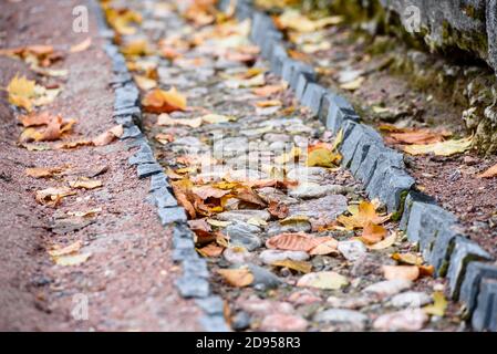 Herbstblätter auf dem Boden in einem Graben-schönen Herbst Hintergrund Stockfoto