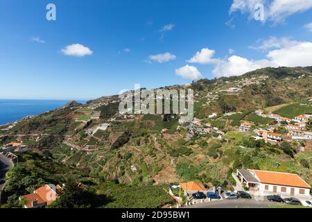 Blick über die Weinberge der Madeira Wine Company, Estreito de Camara de Lobos, Madeira, Portugal Stockfoto