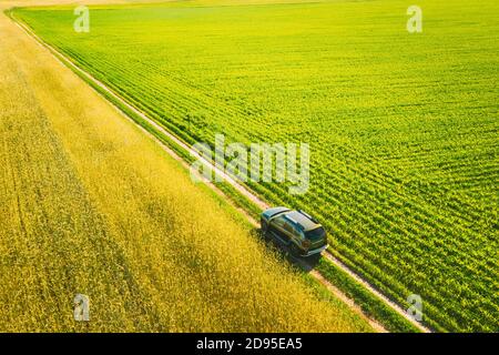 Luftaufnahme von Auto-SUV geparkt in der Nähe Landstraße in Spring Field ländliche Landschaft. Auto Zwischen Young Wheat Und Mais Plantation Stockfoto