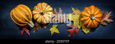 Food Kürbisse oder Squashes mit bunten Herbstblättern auf dunkelblauem Holzhintergrund im Panorama-Bannerformat, Hochwinkelansicht von oben, selecte Stockfoto