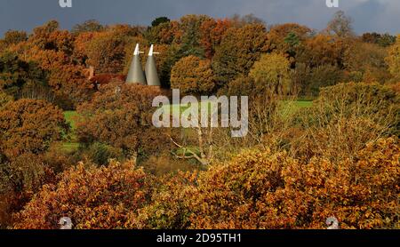 Ein Haus in der Nähe von Hawkhurst in Kent, umgeben von Herbstfarben in der Morgensonne. Die Weidenhäuser sind ein besonderes Merkmal der Landschaft von Kent und Sussex und wurden ursprünglich zum Trocknen des geernteten reifen Hopfens gebaut, der als Zutat beim Bierbrauen verwendet wurde. Stockfoto