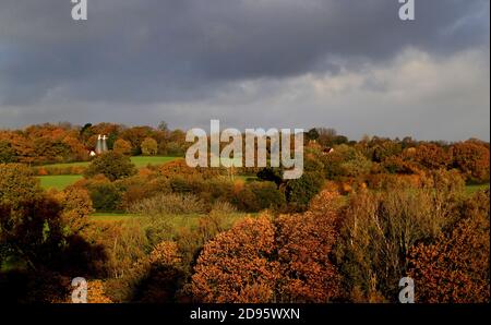 Ein Haus in der Nähe von Hawkhurst in Kent, umgeben von Herbstfarben in der Morgensonne. Die Weidenhäuser sind ein besonderes Merkmal der Landschaft von Kent und Sussex und wurden ursprünglich zum Trocknen des geernteten reifen Hopfens gebaut, der als Zutat beim Bierbrauen verwendet wurde. Stockfoto