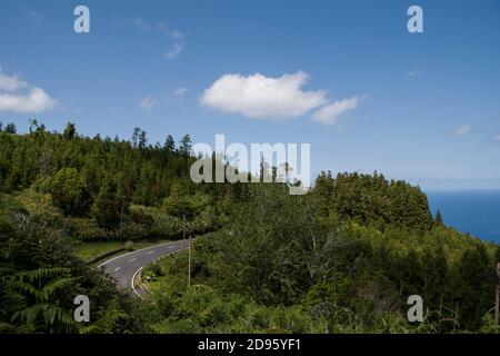 Ein Bruchteil einer asphaltierten Straße von der Spitze der Baumkrone in der Mitte des Waldes gesehen, mit klarem blauen Himmel und Blick auf das Meer Stockfoto