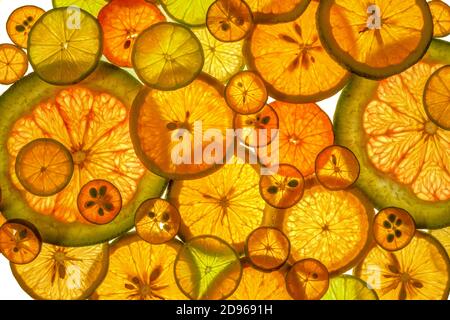 Muster von ganzen Scheiben von Pomelo, Limette, Orange und Fortunella auf einem Lumen. Isoliert auf weißem Hintergrund. Stockfoto