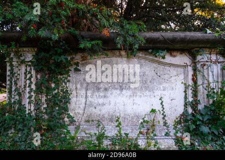 Großbritannien, London, Barnett, Totteridge, St. Andrews Kirchhof, altes Grab mit Efeu und Eibe mit Herbstbeeren bedeckt, keine Menschen, heimgesucht Ort Stockfoto