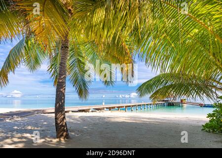 Tropischer Strand, Malediven. Steg Weg in ruhige Paradies Insel. Palmen, weißer Sand und blaues Meer, perfekte Sommerurlaub Landschaft Urlaub Stockfoto