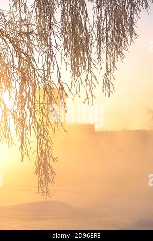 Frostbedeckte Äste gegen untergehende Sonne. Nebel steigt aus dem Wasser an einem sehr kalten Wintertag. Stockfoto