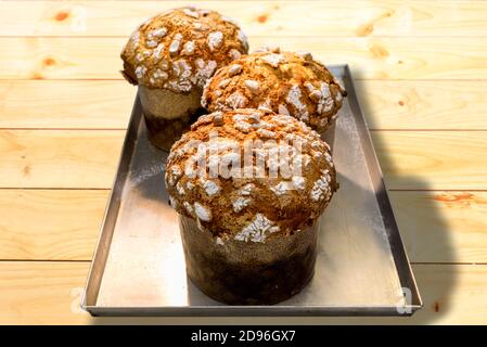 Panettone, typisch italienischer Weihnachtskuchen aus Mailand, frisch gebacken auf Backblech und Holzhintergrund Stockfoto