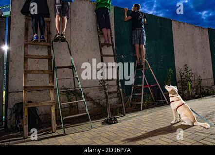 Ein Hund beobachtet Fans, die hinter dem Zaun auf Leitern stehen und ein tschechisches Match der ersten Division zwischen den Bohemians Prag und Mlada Boleslav i. beobachten Stockfoto