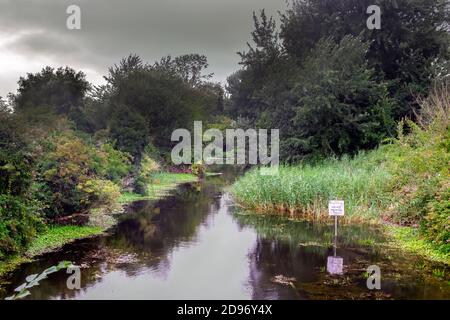 Spaziergang entlang des königlichen Militärkanals in Romney Marsh On Ein wolkiger Sommertag Stockfoto