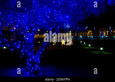 Original Weihnachten Olivenbaum Beleuchtung mit blauen  Weihnachtsbeleuchtung gemacht Stockfotografie - Alamy