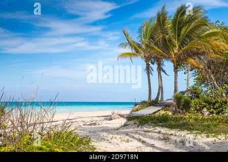 Kuba, Provinz Ciego de Avila, Jardines del Rey, Cayo Coco, Playa Larga Stockfoto Kuba, Provinz Ciego de Avila, Jardines del Rey, Cayo Coco, Playa Larga Stockfoto