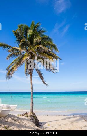 Kuba, Jardines del Rey, Cayo Coco, Playa Larga Stockfoto