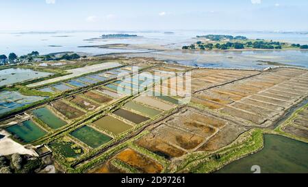 Saint-Armel (Bretagne, Nordwestfrankreich): Luftaufnahme der ehemaligen Salzwiesen und der Insel Tascon im Golf von Morbihan Stockfoto