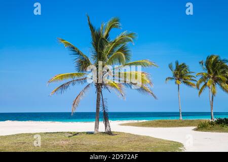 Kuba Ciego de Avila Provinz, Jardines del Rey, Cayo Coco, Las Coloradas Strand Stockfoto