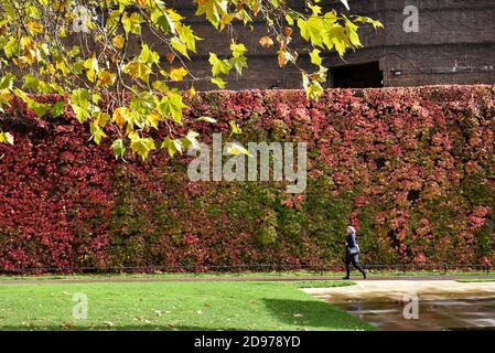 Admiralty Citadel, Horse Guards, London, Großbritannien. November 2020. UK Wetter: Herbstfarben auf Admiralty Citadel. Kredit: Matthew Chattle/Alamy Live Nachrichten Stockfoto