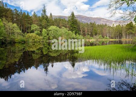 Glencoe Lochan und Waldspiegelungen im Sommer. Erstellt von Lord Strathcona für die kanadische Frau Isabella. Glencoe, Highland, Schottland, Großbritannien Stockfoto